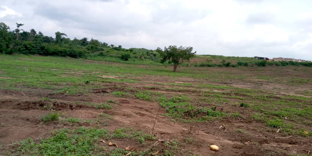 Services 5 WhatsApp Image 2025 07 26 at 22.33.25 1