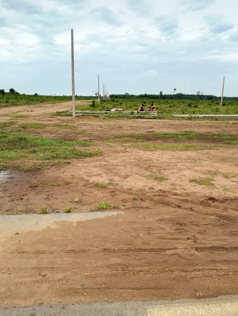 WhatsApp Image 2025-07-29 at 14.26.24 (1)