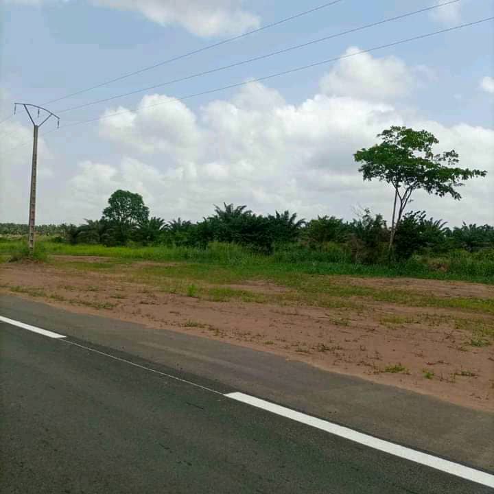 WhatsApp Image 2025-07-29 at 14.26.24 (3)