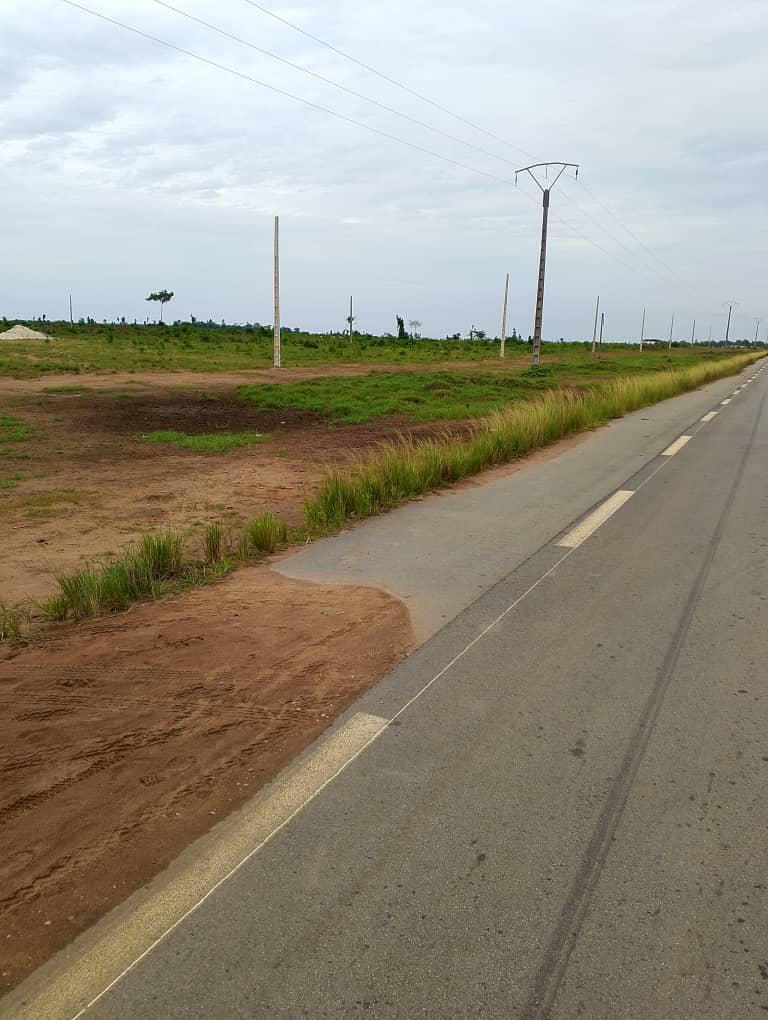 WhatsApp Image 2025-07-29 at 14.26.24