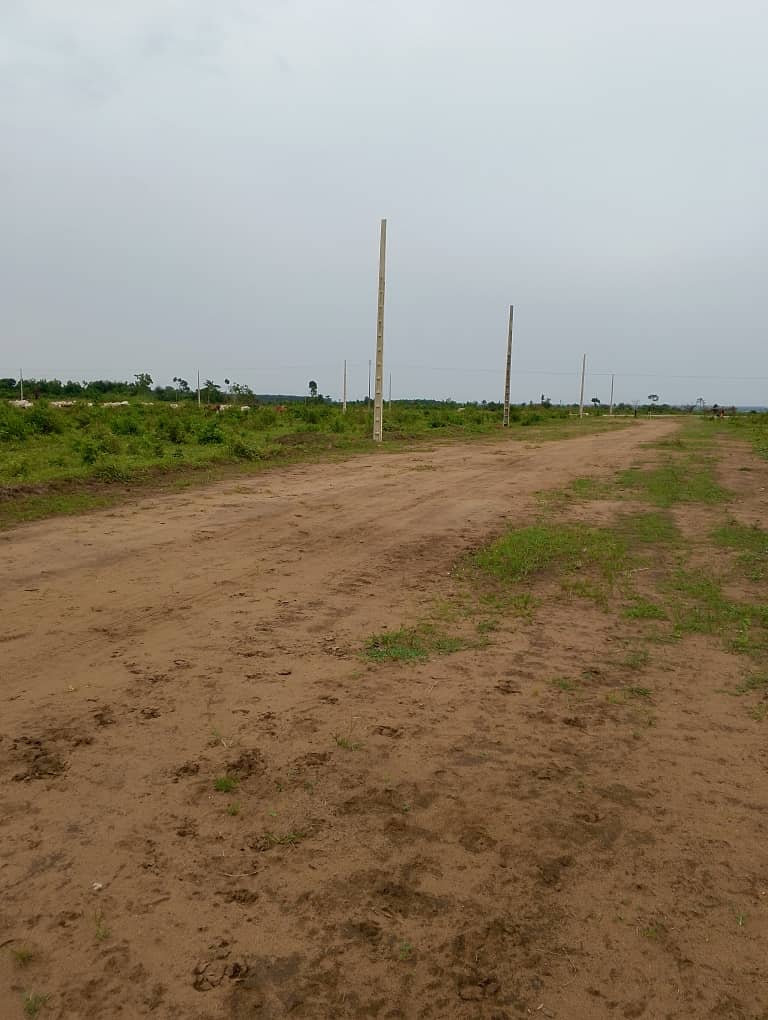 WhatsApp Image 2025-07-29 at 14.26.25 (1)