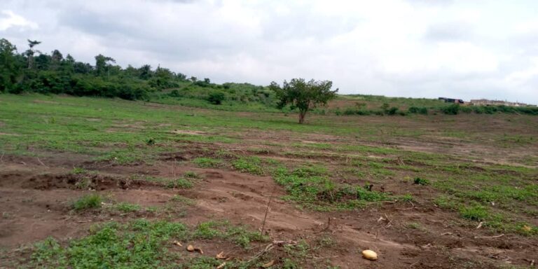 WhatsApp Image 2025-07-29 at 14.26.25